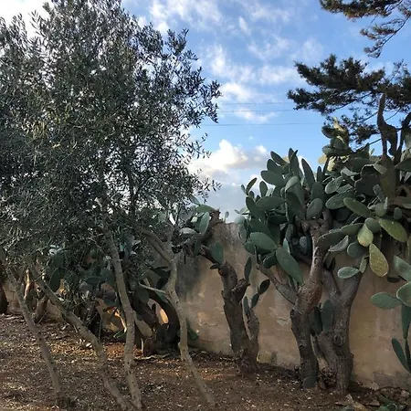 Masseria Pittuini Holiday home Nardo